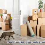 حمل حیوانات خانگی در اسباب کشی| چالش تغییر مکان برای حیوانات خانگی