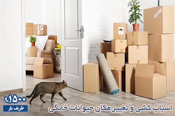 حمل حیوانات خانگی در اسباب کشی| چالش تغییر مکان برای حیوانات خانگی
